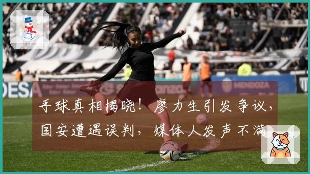 手球真相揭晓！廖力生引发争议，国安遭遇误判，媒体人发声不满