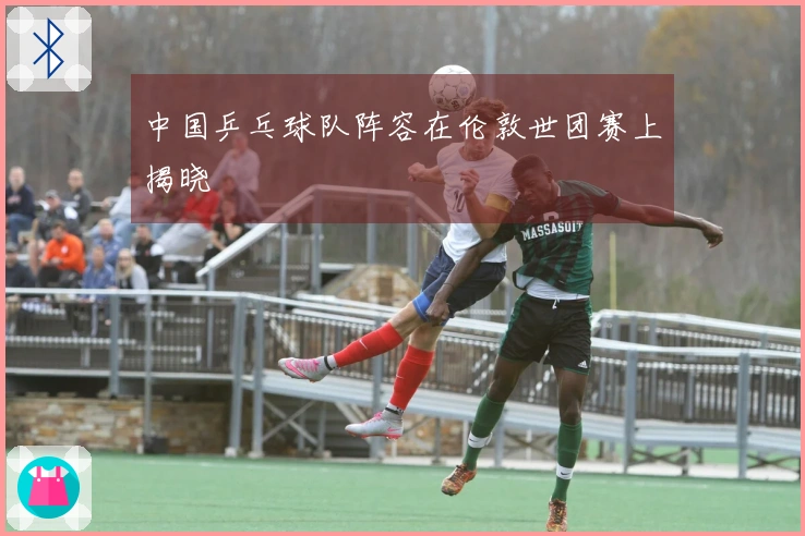 中国乒乓球队阵容在伦敦世团赛上揭晓
